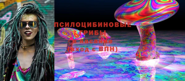 spice Новозыбков