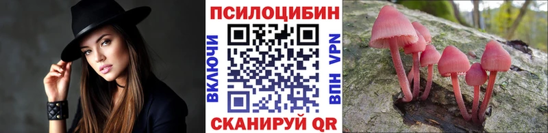 Купить закладки  Слободской  Псилоцибиновые грибы мухоморы 